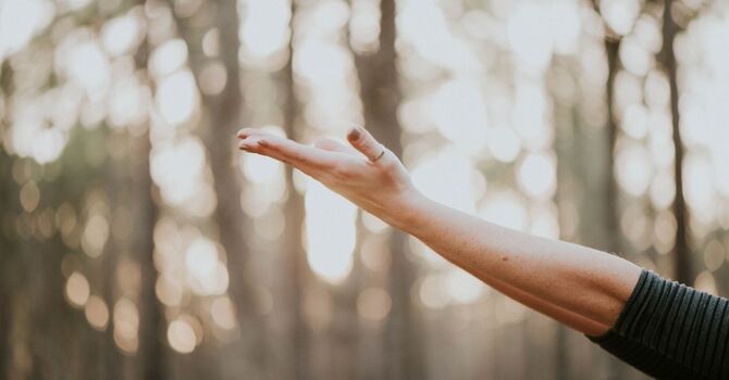 Menopause Transition Coaching